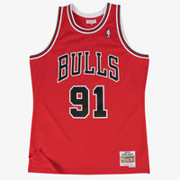 Swingman Jersey Chicago Bulls Basketball Jersey, Sportswear Jersey Shirt, Sleeveless Athletic Tank Jersey, Casual Gift for Men, Style 12004510