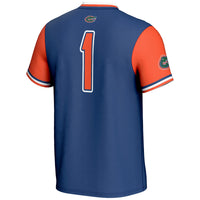 Florida Gators Softball Jersey, Royal Sportswear Jersey Shirt, Lightweight Breathable Athletic Jersey, Casual Gift for Men, Style 200119488