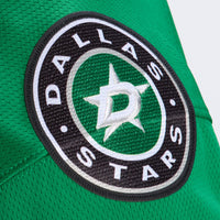 Dallas Stars Hockey Jersey, Green Breakaway Home Sportswear Jersey Shirt, Long Sleeve Hockey Sweater Jersey, Casual Gift for Men, Style 2793230