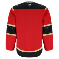 Ottawa Senators Hockey Jersey, Red Authentic Alternate Sportswear Jersey Shirt, Long Sleeve Hockey Sweater Jersey, Casual Gift for Men