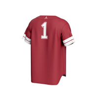 Arkansas Razorbacks Baseball Jersey, Cardinal Fashion Sportswear Jersey Shirt, Lightweight Breathable Athletic Jersey, Casual Gift for Men