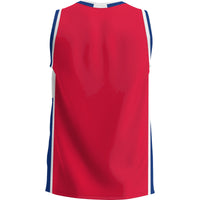 Colorado State Pueblo Thunderwolves Basketball Jersey, Blue Sportswear Jersey Shirt, Sleeveless Athletic Tank Jersey, Casual Gift for Men