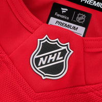 Detroit Red Wings Hockey Jersey, Premium Home Sportswear Jersey Shirt, Long Sleeve Hockey Sweater Jersey, Casual Gift for Men, Style 202055765