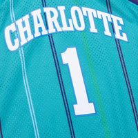 Charlotte Hornets Basketball Jersey, Teal Authentic Swingman Sportswear Jersey Shirt, Sleeveless Athletic Tank Jersey, Casual Gift for Men