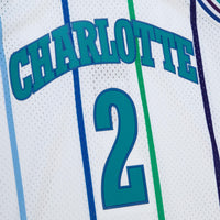 Charlotte Hornets Basketball Jersey, White Sportswear Jersey Shirt, Sleeveless Athletic Tank Jersey, Casual Gift for Men, Style 204329764