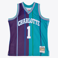 Charlotte Hornets Basketball Jersey, Swingman Sportswear Jersey Shirt, Sleeveless Athletic Tank Jersey, Casual Gift for Men, Style 204329809