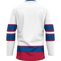 Saginaw Valley State Cardinals Hockey Jersey, White Sportswear Jersey Shirt, Long Sleeve Hockey Sweater Jersey, Casual Gift for Men