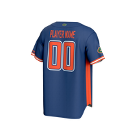 Florida Gators Baseball Jersey, Royal Sportswear Jersey Shirt, Lightweight Breathable Athletic Jersey, Casual Gift for Men, Style 201179903