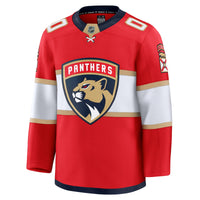 Florida Panthers Hockey Jersey, Red Premium Sportswear Jersey Shirt, Long Sleeve Hockey Sweater Jersey, Casual Gift for Men, Style 202055701