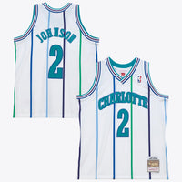 Charlotte Hornets Basketball Jersey, White Sportswear Jersey Shirt, Sleeveless Athletic Tank Jersey, Casual Gift for Men, Style 204329764