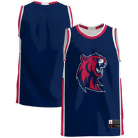 Rogers State Hillcats Basketball Jersey, Blue Lightweight Sportswear Jersey Shirt, Sleeveless Athletic Tank Jersey, Casual Gift for Men