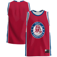 Detroit Mercy Titans Basketball Jersey, Blue Lightweight Sportswear Jersey Shirt, Sleeveless Athletic Tank Jersey, Casual Gift for Men