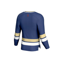 Tulsa Golden Hurricane Hockey Jersey, Royal Sportswear Jersey Shirt, Long Sleeve Hockey Sweater Jersey, Casual Gift for Men