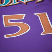 Randy Johnson Arizona Diamondbacks Baseball Jersey, Purple Sportswear Jersey Shirt, Lightweight Breathable Athletic Jersey, Casual Gift for Men