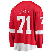 Dylan Larkin Detroit Red Wings Hockey Jersey, Breakaway Sportswear Jersey Shirt, Long Sleeve Hockey Sweater Jersey, Casual Gift for Men