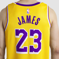 Lebron James Los Angeles Lakers Basketball Jersey, Sportswear Jersey Shirt, Sleeveless Athletic Jersey, Casual Gift for Men, Style 202220008