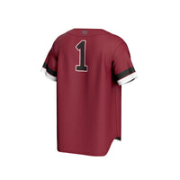 South Carolina Gamecocks Baseball Jersey, Sportswear Jersey Shirt, Lightweight Breathable Athletic Jersey, Casual Gift for Men, Style 202658923
