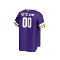 Washington Huskies Baseball Jersey, Purple Sportswear Jersey Shirt, Lightweight Breathable Athletic Jersey, Casual Gift for Men, Style 202415176
