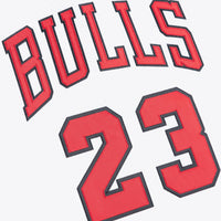 Authentic Jersey Chicago Bulls Basketball Jersey, Sportswear Jersey Shirt, Sleeveless Athletic Tank Jersey, Casual Gift for Men, Style 203157016