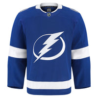 Tampa Bay Lightning Hockey Jersey, Blue Sportswear Jersey Shirt, Long Sleeve Hockey Sweater Jersey, Casual Gift for Men, Style 201897985