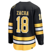 Pavel Zacha Boston Bruins Hockey Jersey, Black Breakaway Home Sportswear Jersey Shirt, Long Sleeve Hockey Sweater Jersey, Casual Gift for Men
