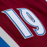 Joe Sakic Colorado Avalanche Hockey Jersey, Sportswear Jersey Shirt, Long Sleeve Hockey Sweater Jersey, Casual Gift for Men, Style 203455846