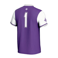 Furman Paladins Softball Jersey, Purple Fashion Lightweight Sportswear Jersey Shirt, Lightweight Breathable Athletic Jersey, Casual Gift for Men