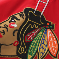 Chicago Blackhawks Hockey Jersey, Red Premium Sportswear Jersey Shirt, Long Sleeve Hockey Sweater Jersey, Casual Gift for Men, Style 203133903