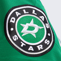 Dallas Stars Hockey Jersey, Kelly Green Sportswear Jersey Shirt, Long Sleeve Hockey Sweater Jersey, Casual Gift for Men, Style 201898001