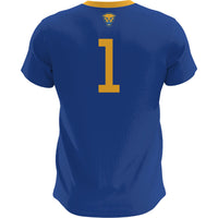 Pitt Panthers Soccer Jersey, Royal Fashion Sportswear Jersey Shirt, Lightweight Breathable Athletic Jersey, Casual Gift for Men, Style 200422670