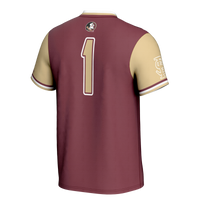 Florida State Seminoles Softball Jersey, Sportswear Jersey Shirt, Lightweight Breathable Athletic Jersey, Casual Gift for Men, Style 201254665