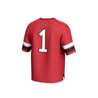Louisville Cardinals Football Jersey, Red Sportswear Jersey Shirt, Lightweight Breathable Athletic Jersey, Casual Gift for Men, Style 202439722