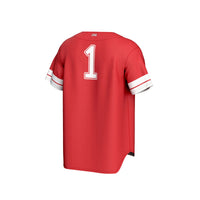 Louisiana Ragin' Cajuns Baseball Jersey, Sportswear Jersey Shirt, Lightweight Breathable Athletic Jersey, Casual Gift for Men, Style 202658922