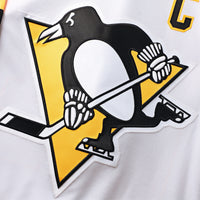 Pittsburgh Penguins Hockey Jersey, White Sportswear Jersey Shirt, Long Sleeve Hockey Sweater Jersey, Casual Gift for Men, Style 202015755