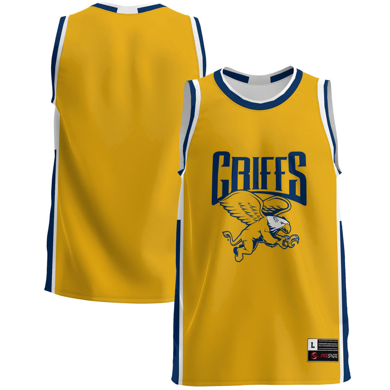 Canisius College Golden Griffins Basketball Jersey, Blue Sportswear Jersey Shirt, Sleeveless Athletic Tank Jersey, Casual Gift for Men