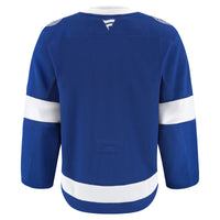 Tampa Bay Lightning Hockey Jersey, Blue Sportswear Jersey Shirt, Long Sleeve Hockey Sweater Jersey, Casual Gift for Men, Style 201897985