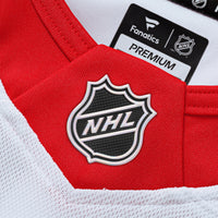 Detroit Red Wings Hockey Jersey, White Premium Sportswear Jersey Shirt, Long Sleeve Hockey Sweater Jersey, Casual Gift for Men, Style 202055766