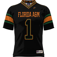 Florida A&M Rattlers Football Jersey, Sportswear Jersey Shirt, Lightweight Breathable Athletic Jersey, Casual Gift for Men, Style 200425310