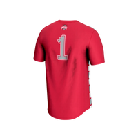 Ohio State Buckeyes Lightweight Soccer Jersey, Sportswear Jersey Shirt, Lightweight Athletic Jersey, Casual Gift for Men, Style 203152712