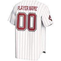 South Carolina Gamecocks Baseball Jersey, White Lightweight Sportswear Jersey Shirt, Lightweight Breathable Athletic Jersey, Casual Gift for Men