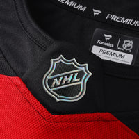 Ottawa Senators Hockey Jersey, Red Premium Sportswear Jersey Shirt, Long Sleeve Hockey Sweater Jersey, Casual Gift for Men, Style 203133874