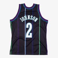 Charlotte Hornets Basketball Jersey, Black Authentic Swingman Sportswear Jersey Shirt, Sleeveless Athletic Tank Jersey, Casual Gift for Men