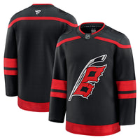 Carolina Hurricanes Hockey Jersey, Black Sportswear Jersey Shirt, Long Sleeve Hockey Sweater Jersey, Casual Gift for Men, Style 202015704