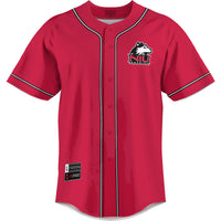 Northern Illinois Huskies Baseball Jersey, Cardinal Sportswear Jersey Shirt, Lightweight Breathable Athletic Jersey, Casual Gift for Men