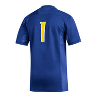 Delaware Fightin' Blue Hens Football Jersey, Royal Replica Sportswear Jersey Shirt, Lightweight Breathable Athletic Jersey, Casual Gift for Men