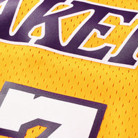 Los Angeles Lakers Basketball Jersey, Lamar Odom Swingman Sportswear Jersey Shirt, Sleeveless Athletic Tank Jersey, Casual Gift for Men