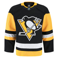 Pittsburgh Penguins Hockey Jersey, Black Sportswear Jersey Shirt, Long Sleeve Hockey Sweater Jersey, Casual Gift for Men, Style 201897973